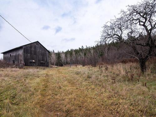 Cour - 135 Ch. De La Petite-Anse, Rivière-Ouelle, QC - Outdoor With View