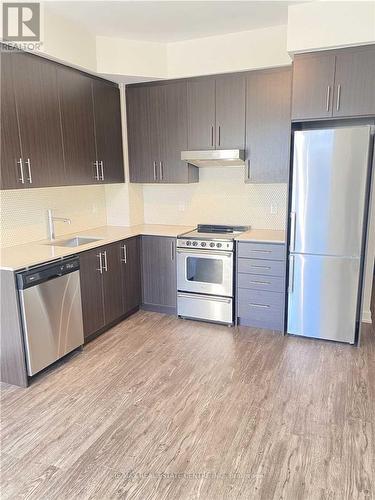 306 - 212 King William Street, Hamilton, ON - Indoor Photo Showing Kitchen With Stainless Steel Kitchen