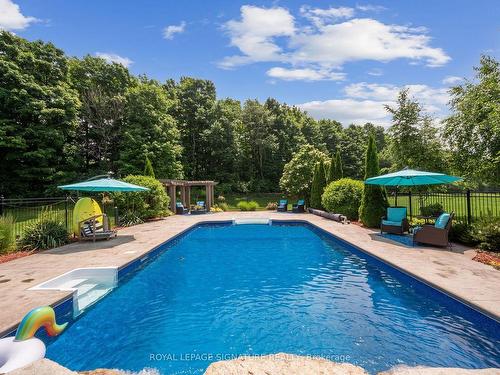 10 Forest Ridge Cres, Halton Hills, ON - Outdoor With In Ground Pool With Backyard