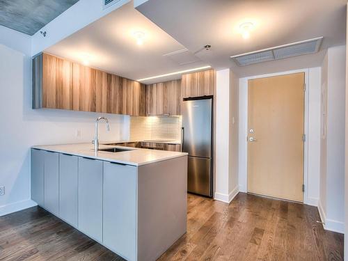 Interior - 557-101 Rue Peel, Montréal (Le Sud-Ouest), QC - Indoor Photo Showing Kitchen