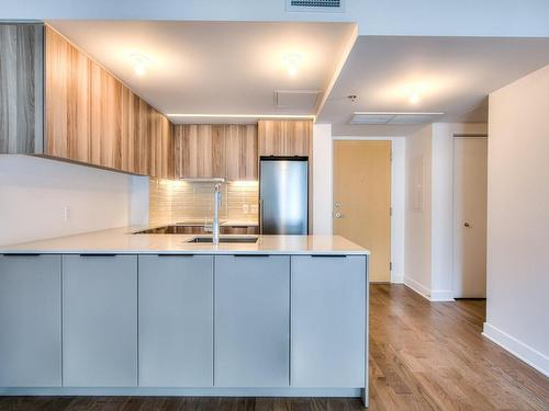 Interior - 557-101 Rue Peel, Montréal (Le Sud-Ouest), QC - Indoor Photo Showing Kitchen