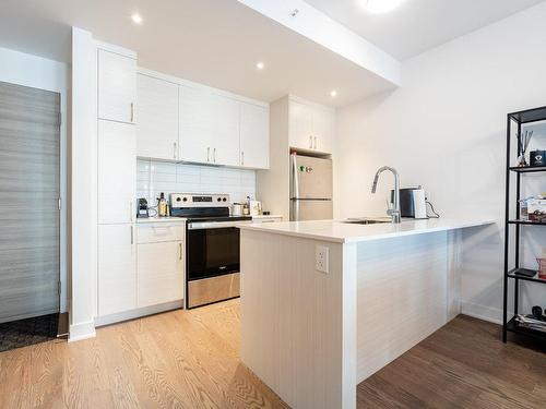 Kitchen - 416B-1400 Rue Ottawa, Montréal (Le Sud-Ouest), QC - Indoor Photo Showing Kitchen With Upgraded Kitchen