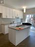 224 Morton Street E, Thorold, ON  - Indoor Photo Showing Kitchen With Double Sink 