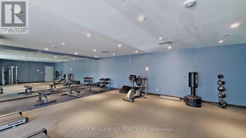 609 - 1328 Birchmount Road, Toronto, ON - Indoor Photo Showing Gym Room