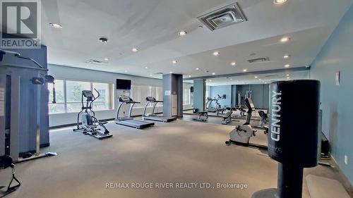 609 - 1328 Birchmount Road, Toronto, ON - Indoor Photo Showing Gym Room