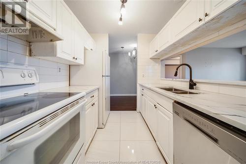 2922 Rivard Avenue Unit# 217, Windsor, ON - Indoor Photo Showing Kitchen With Double Sink