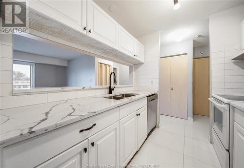 2922 Rivard Avenue Unit# 217, Windsor, ON - Indoor Photo Showing Kitchen With Double Sink