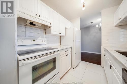 2922 Rivard Avenue Unit# 217, Windsor, ON - Indoor Photo Showing Kitchen