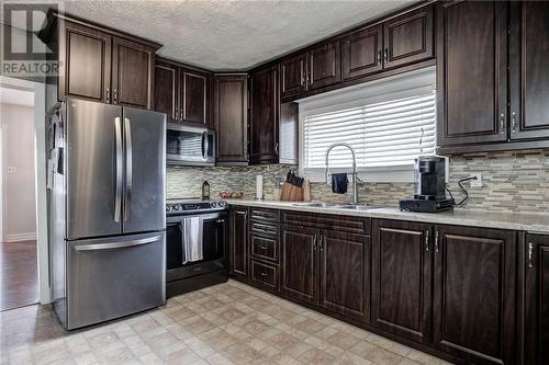 717 Lawson Street, Sudbury, ON - Indoor Photo Showing Kitchen With Double Sink