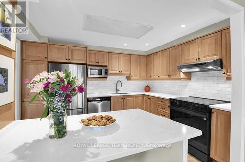 205 - 959 North River Road, Ottawa, ON - Indoor Photo Showing Kitchen