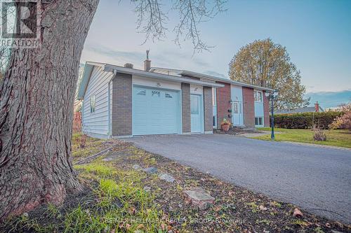 A - 359 Nagel Avenue, Ottawa, ON - Outdoor