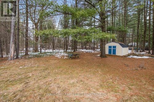 3229 25 Side Road, Innisfil, ON 