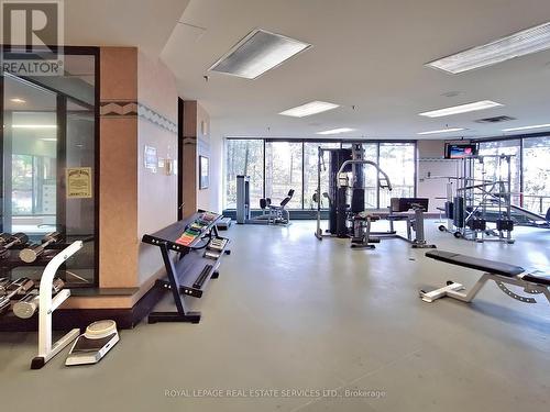 108 - 89 Skymark Drive, Toronto, ON - Indoor Photo Showing Gym Room