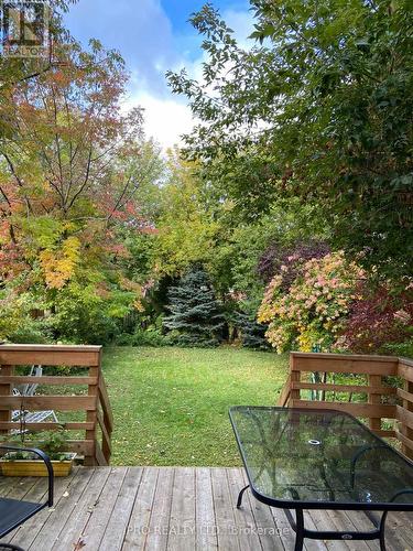 16 Elswick Road, Toronto, ON - Outdoor With Deck Patio Veranda