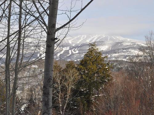 View - 1-206 Rue Du Mont-Plaisant, Mont-Tremblant, QC - Outdoor With View