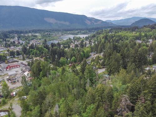 1-300 Grosskleg Way, Lake Cowichan, BC 