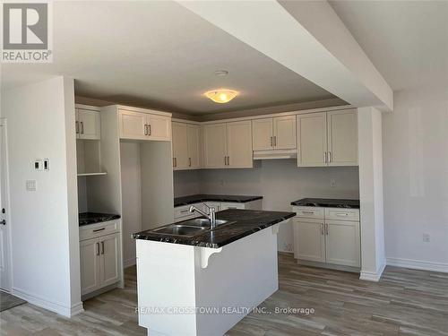 101 Shady Hill Road, West Grey, ON - Indoor Photo Showing Kitchen With Double Sink