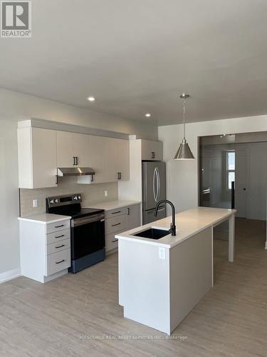 201 - 260 Armstrong Street, Ottawa, ON - Indoor Photo Showing Kitchen With Upgraded Kitchen