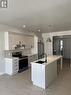 201 - 260 Armstrong Street, Ottawa, ON  - Indoor Photo Showing Kitchen With Upgraded Kitchen 