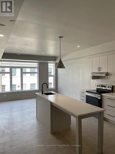 201 - 260 Armstrong Street, Ottawa, ON - Indoor Photo Showing Kitchen