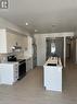 201 - 260 Armstrong Street, Ottawa, ON  - Indoor Photo Showing Kitchen 