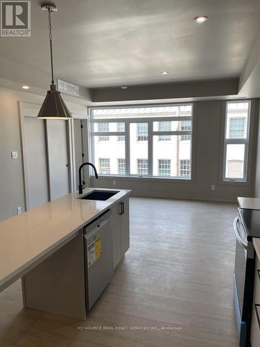 201 - 260 Armstrong Street, Ottawa, ON - Indoor Photo Showing Kitchen