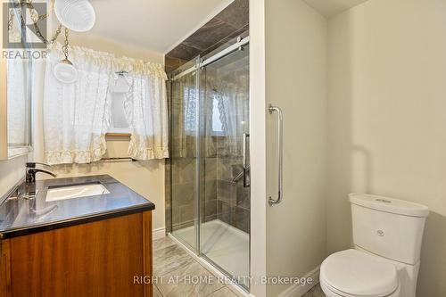 219 Guelph Street, Oshawa (Donevan), ON - Indoor Photo Showing Bathroom