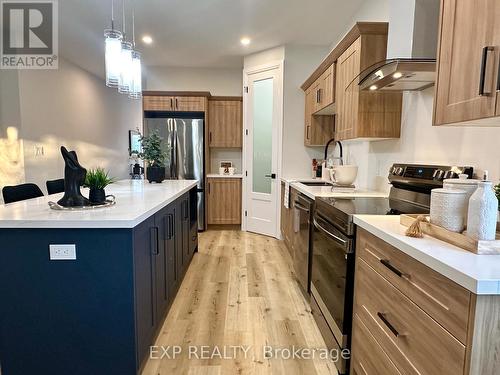 53 Giles Street, London, ON - Indoor Photo Showing Kitchen With Upgraded Kitchen