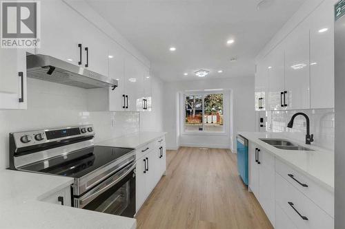 256 Abinger Crescent Ne, Calgary, AB - Indoor Photo Showing Kitchen With Stainless Steel Kitchen With Double Sink With Upgraded Kitchen