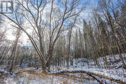 Hopper Road|Huron Shores Township, Huron Shores, ON 