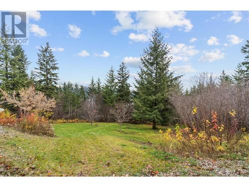 522 Caouette Road, Sorrento, BC - Outdoor With View