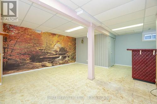 53 - 318 Laurier Avenue, Milton, ON - Indoor Photo Showing Basement