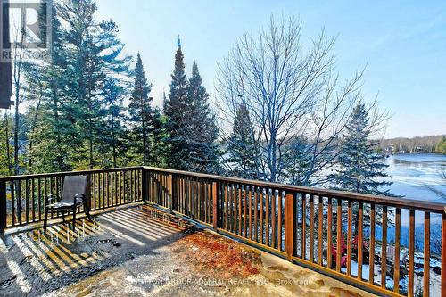 326 Indian Point Road, Kawartha Lakes, ON - Outdoor