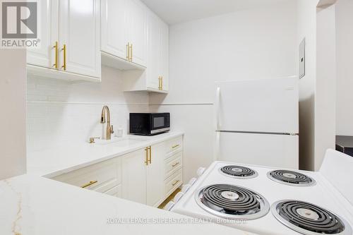 201 - 57 Mericourt Road, Hamilton, ON - Indoor Photo Showing Kitchen