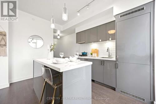 303 - 501 St Clair Avenue W, Toronto, ON - Indoor Photo Showing Kitchen With Upgraded Kitchen