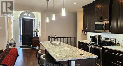 1501 Cypress, Windsor, ON - Indoor Photo Showing Kitchen With Double Sink With Upgraded Kitchen