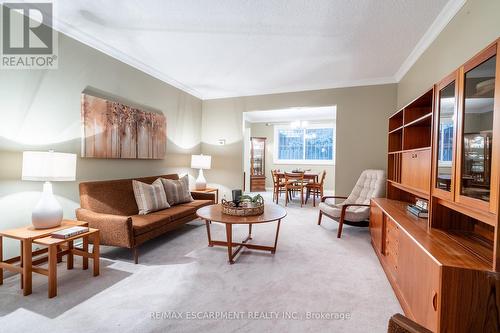 3 San Paulo Drive, Hamilton, ON - Indoor Photo Showing Living Room