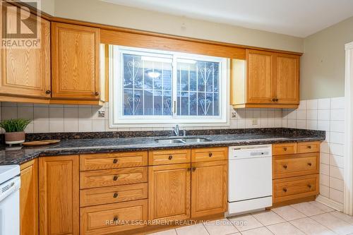 3 San Paulo Drive, Hamilton, ON - Indoor Photo Showing Kitchen With Double Sink