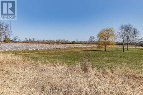 449 Partridge Hollow Road, Prince Edward County (Hillier), ON - Outdoor With View