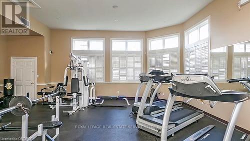 306 - 1460 Bishops Gate, Oakville, ON - Indoor Photo Showing Gym Room