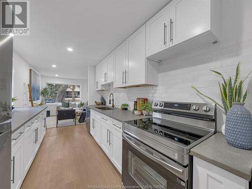 1972 George Avenue, Windsor, ON - Indoor Photo Showing Kitchen With Upgraded Kitchen