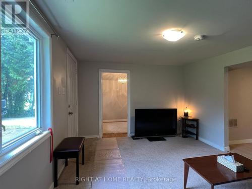 34 Broadview Street, Collingwood, ON - Indoor Photo Showing Living Room