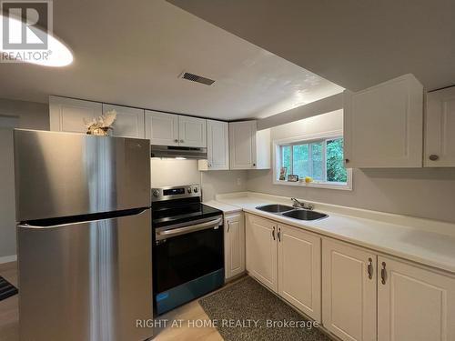 34 Broadview Street, Collingwood, ON - Indoor Photo Showing Kitchen With Double Sink