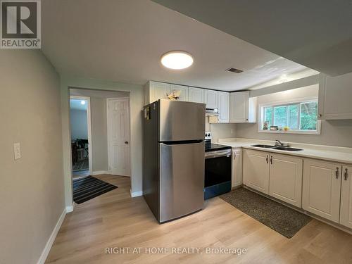 34 Broadview Street, Collingwood, ON - Indoor Photo Showing Kitchen With Double Sink