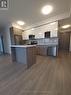 1602 - 49 Walnut Street S, Hamilton, ON  - Indoor Photo Showing Kitchen With Stainless Steel Kitchen 