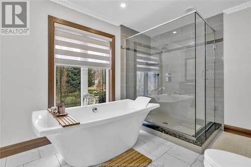 1879 Stone Mill Court, Woodslee, ON - Indoor Photo Showing Bathroom