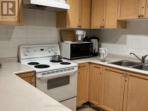 123 - 71 Mccaul Street, Toronto, ON - Indoor Photo Showing Kitchen With Double Sink