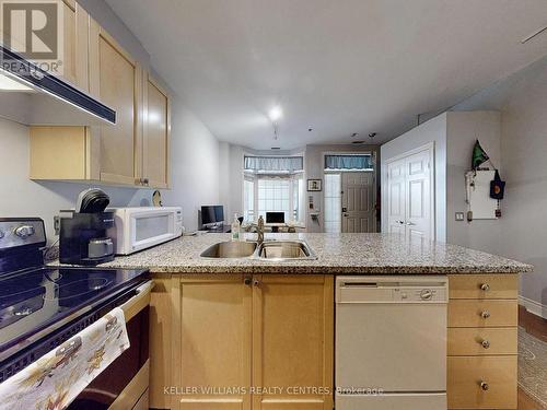 123 - 71 Mccaul Street, Toronto, ON - Indoor Photo Showing Kitchen With Double Sink