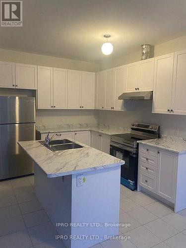 719 Potawatomi Crescent, Shelburne, ON - Indoor Photo Showing Kitchen With Double Sink