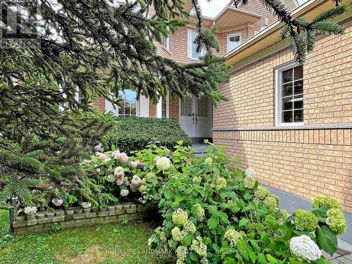 64 Bradgate Drive, Markham, ON - Outdoor